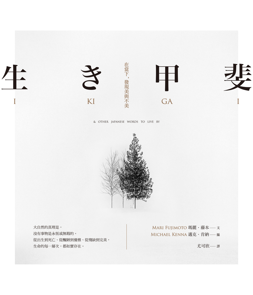 生き甲斐:在當下,發現美與不美(文字版)