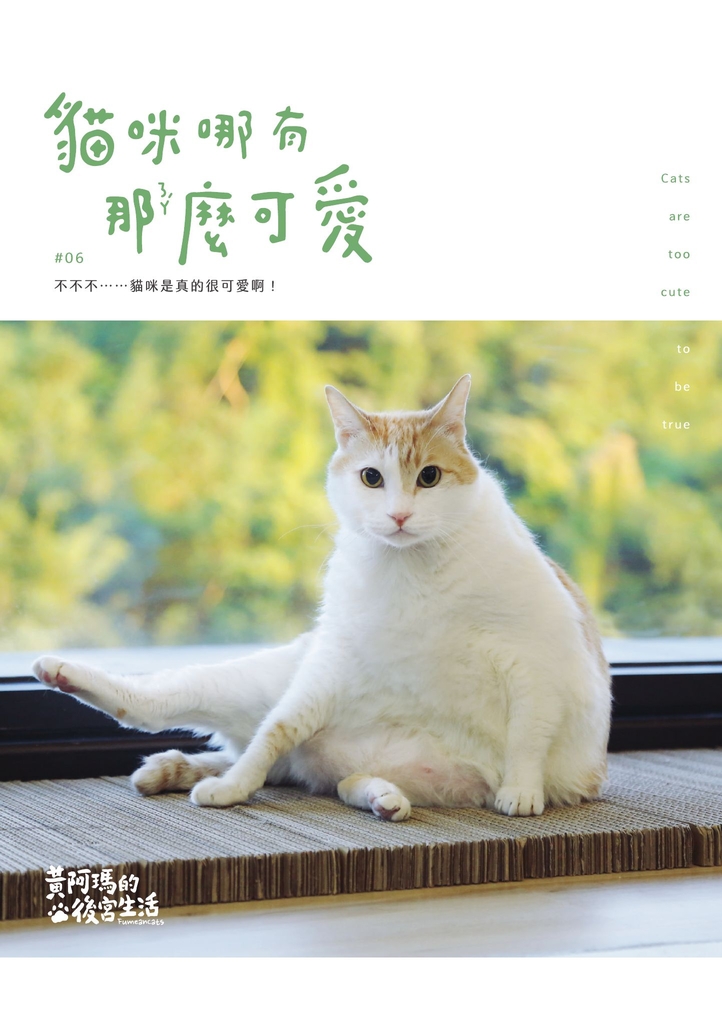 黃阿瑪的後宮生活:貓咪哪有那麼可愛