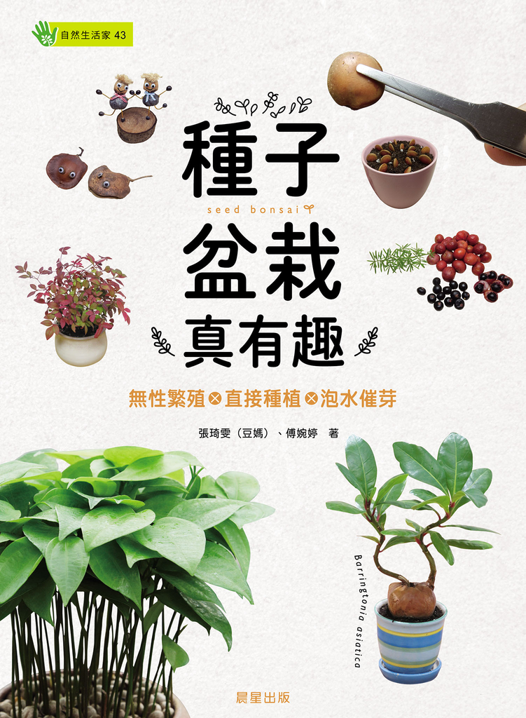 種子盆栽真有趣