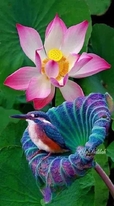 心經順倒背如流 心經順倒背如流