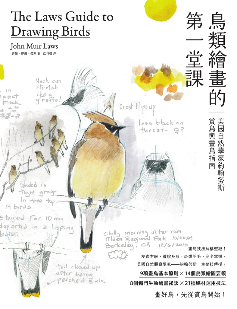 鳥類繪畫的第一堂課:美國自然學家約翰勞斯賞鳥與畫鳥指南