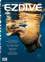 EZDIVE 雙語潛水雜誌第95期