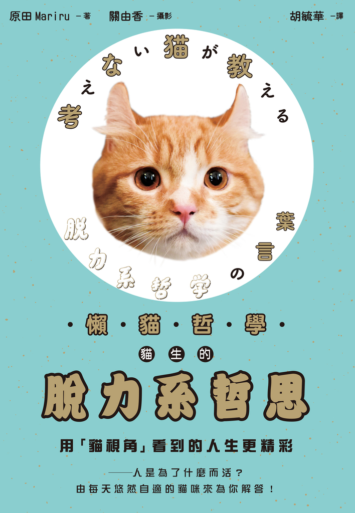 懶貓哲學