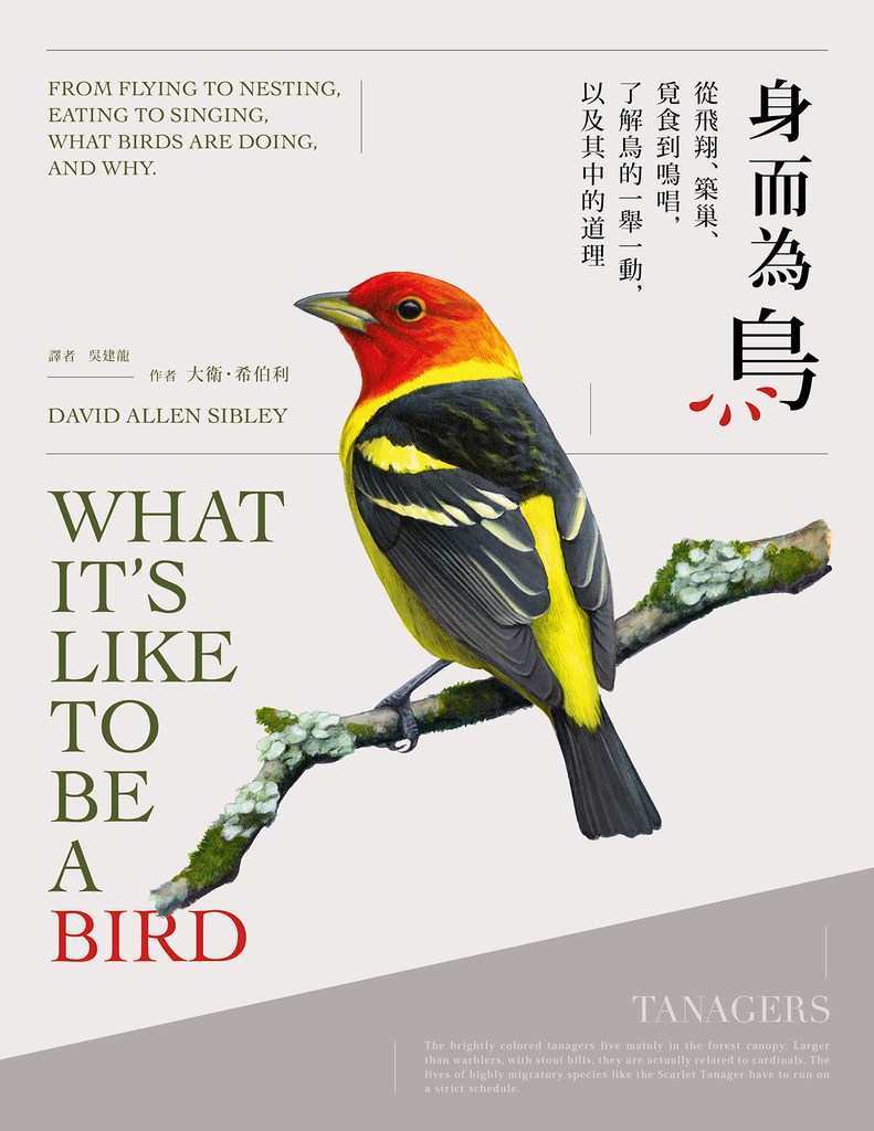 身而為鳥