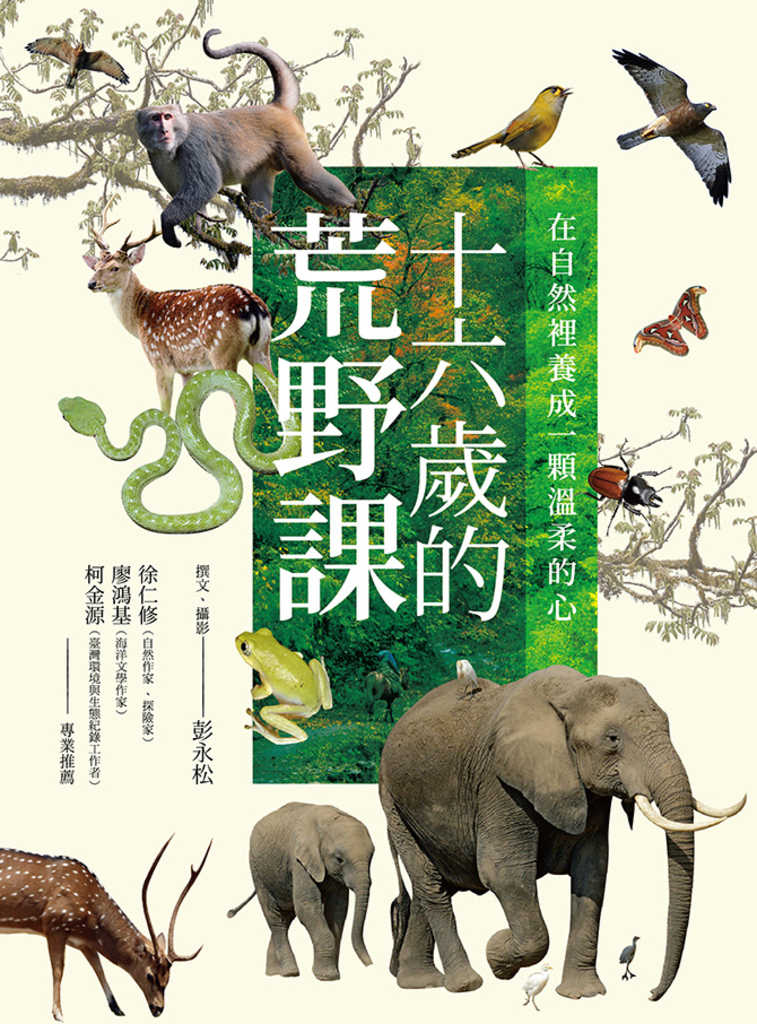 十六歲的荒野課:在自然裡養成一顆溫柔的心