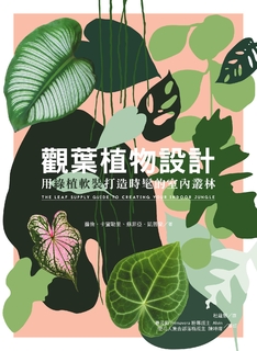 觀葉植物設計：用綠植軟裝打造時髦的室內叢林