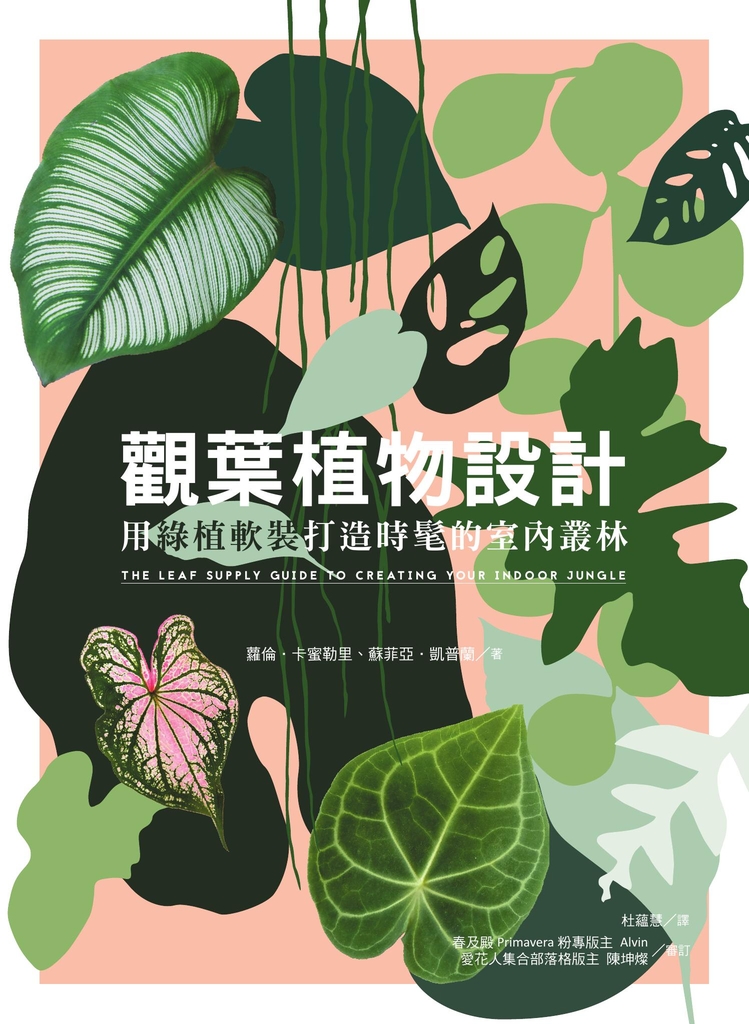 觀葉植物設計:用綠植軟裝打造時髦的室內叢林