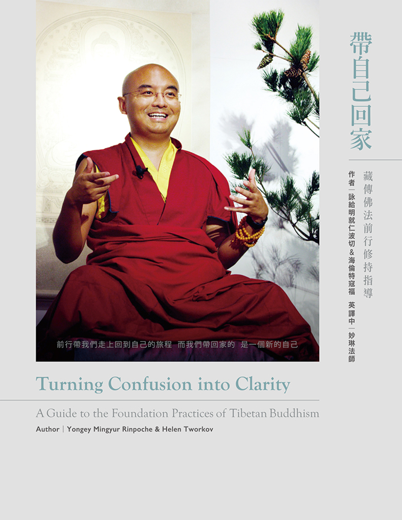 帶自己回家:藏傳佛法前行修持指導