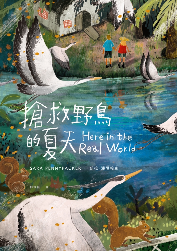 搶救野鳥的夏天(《彼得和他的寶貝》作者新作)