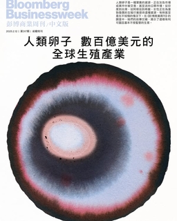 《彭博商業周刊/中文版》第317期