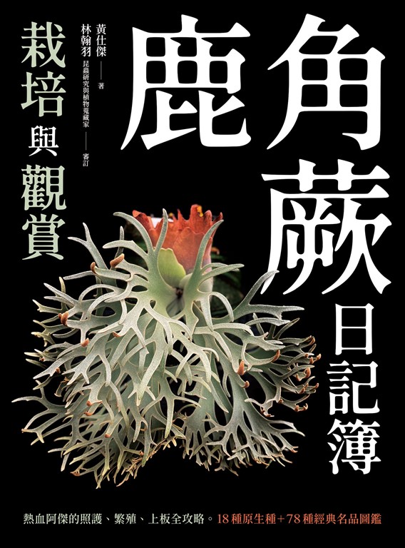 鹿角蕨日記簿:栽培與觀賞