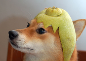 陳